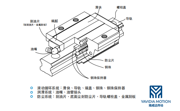 滾珠直線黄瓜视频免费观看